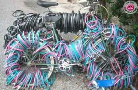 velo
