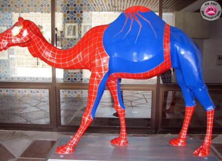 spider drome