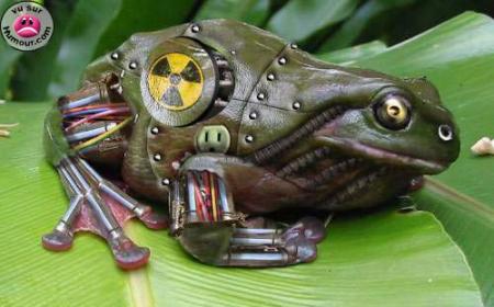 grenouille