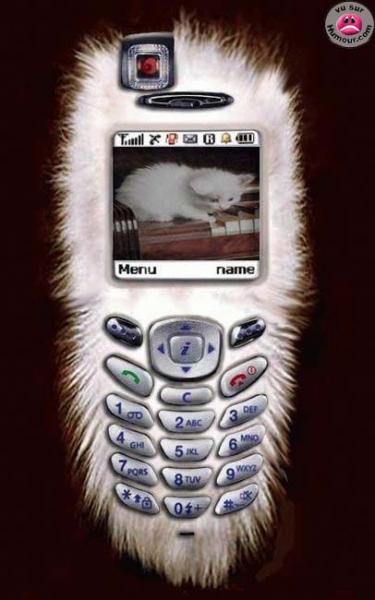 Chat
